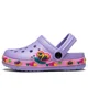  2011ddxpurple
