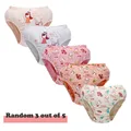 3 Pcs-001