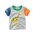 9063 gray