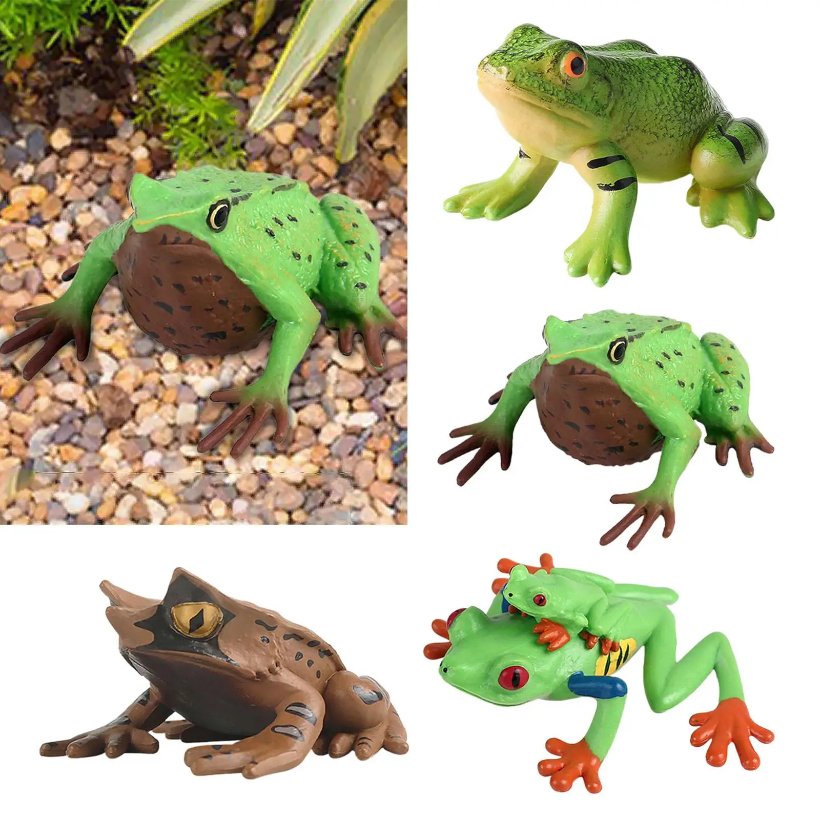 Frog Figurine Science Animals Learning Animal Model Toy for Teaching Aids Micro Landscape Photo Props DIY Landscaping Bath Toys