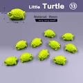 10pcs Turtles