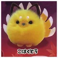 yellow white fox