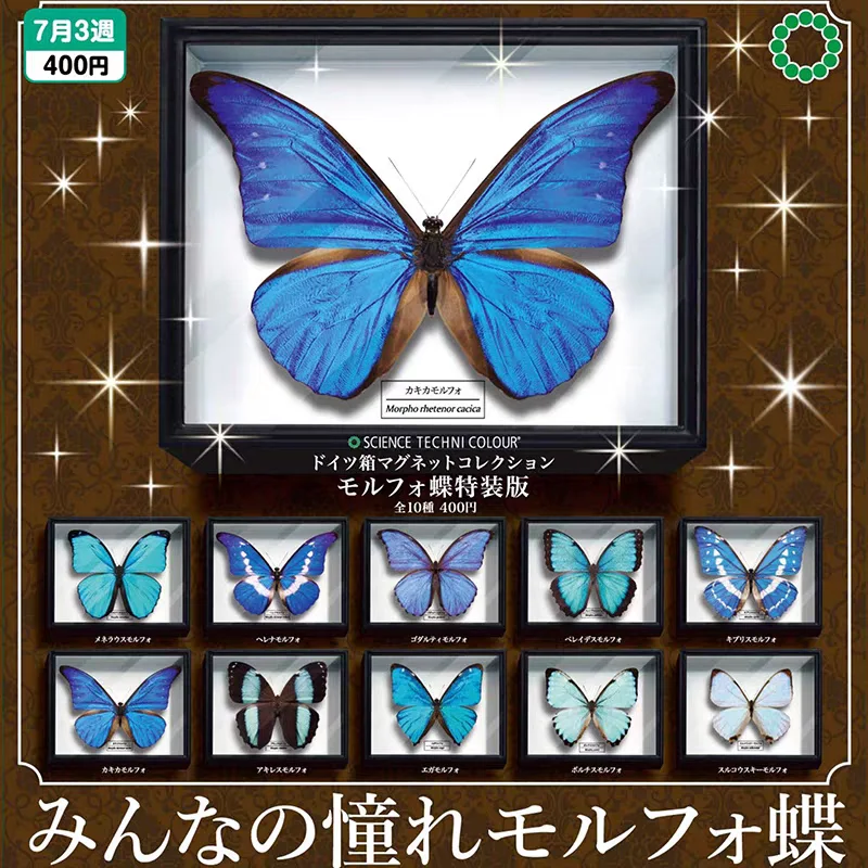 Juguetes cápsula IKIMON, caja alemana STC realista, colección de imanes para nevera, Morpho Butterfly, edición especial, figuras de alas de ensueño brillantes - imagen 2