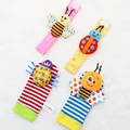 ladybug 4pcs set