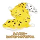 Yellow Gecko A