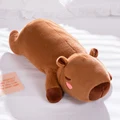 capybara cute MB