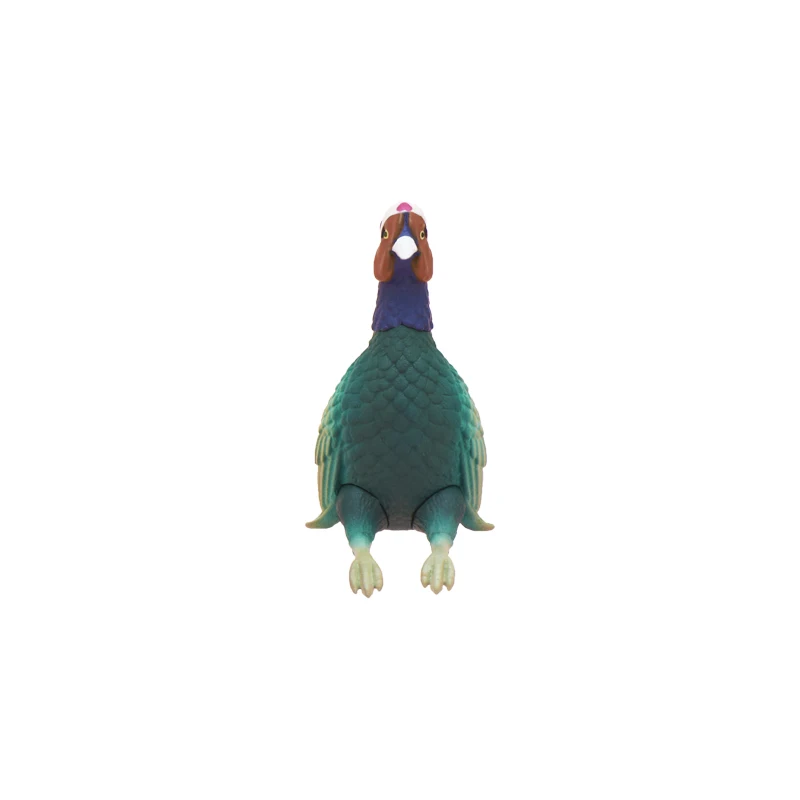 Pheasant