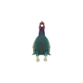 Pheasant
