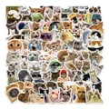 50pcs