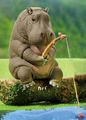 hippo fishing