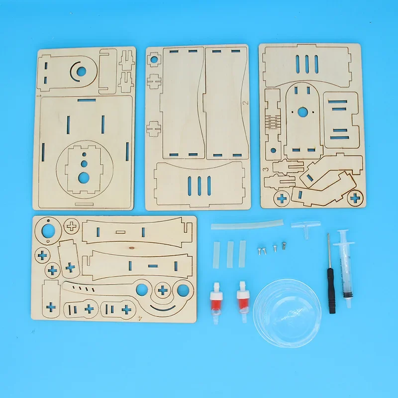 Bomba de presión Manual de ciencia DIY, experimento de bien tecnología, ayuda para enseñanza jugable, palancas, conjunto de principio - imagen 5
