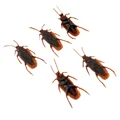5pc
