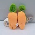 pretend as carrot