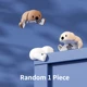 Random 1 Piece