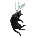 black cat
