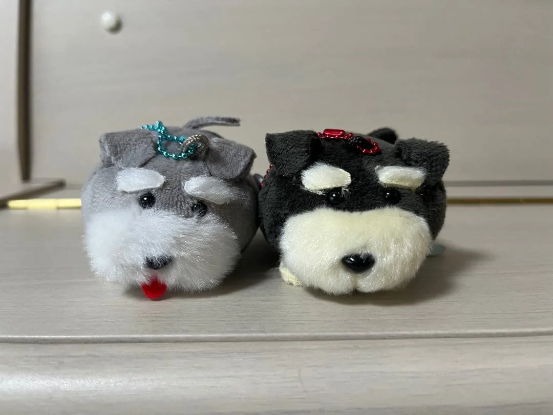 Amuse cápsula juguetes lindo kawaii peluche Shuna y Bob juguetes de peluche Schnauzer colorido BC bolsa colgante cachorro gordo perro regalos figuras - imagen 3