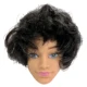 1 Pcs Head  V