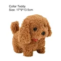 Teddy