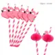 12pcs straws