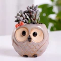 Owl C