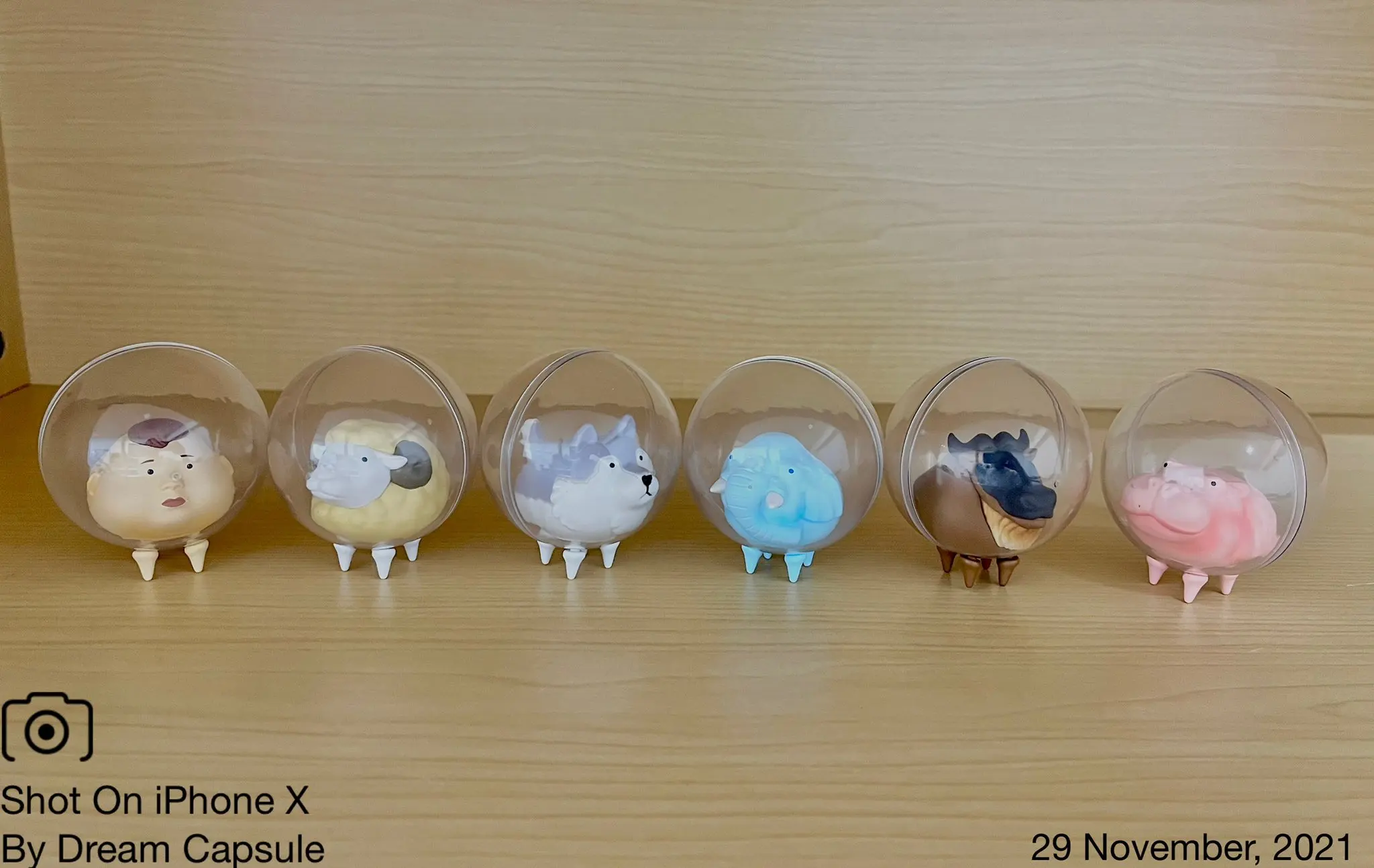 Bushiroad creativo TAMA-KYU divertido kaiwaii lobo oveja elefante hipopótamo salvaje Ningen vivir en una cápsula juguetes figuras gashapon - imagen 3