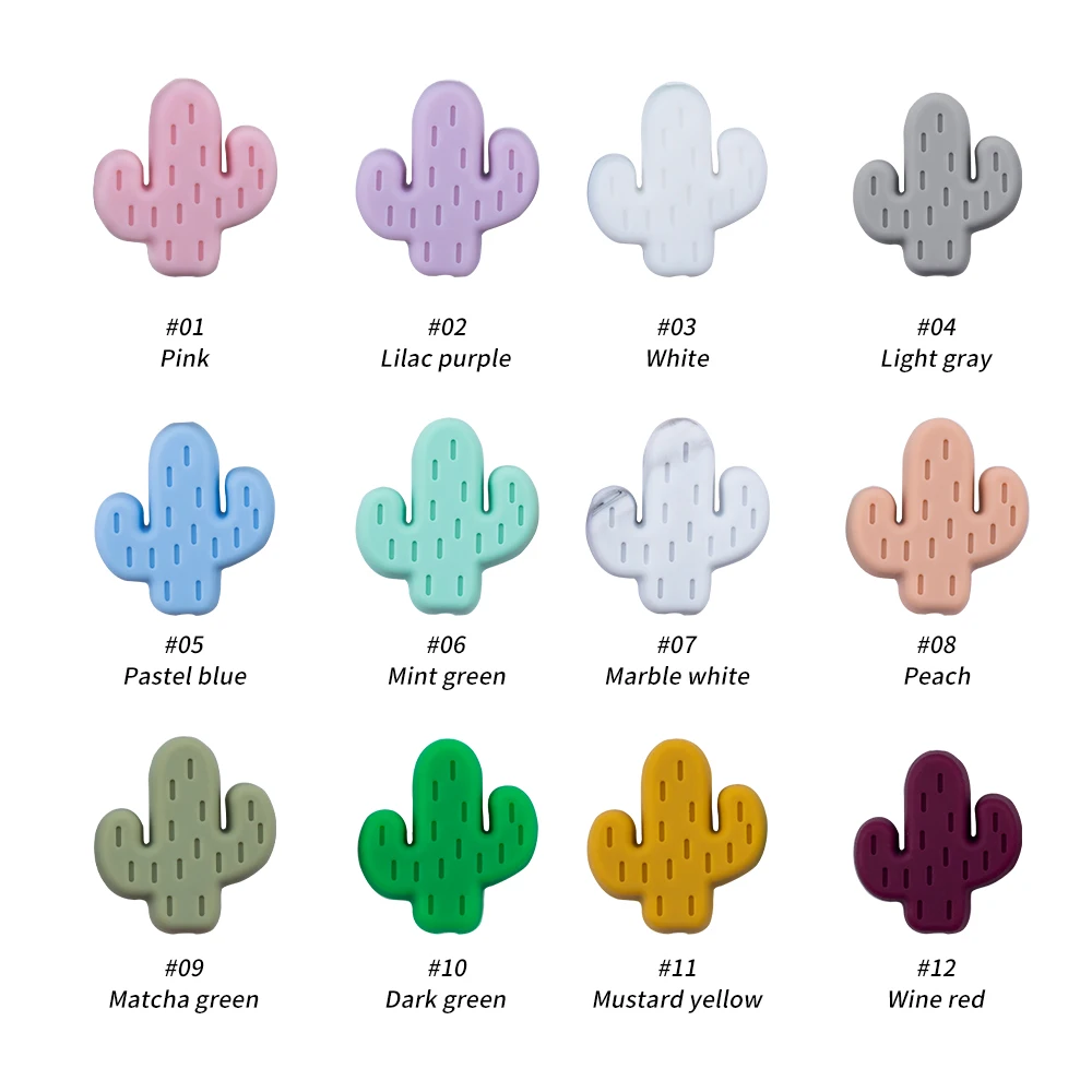 10pcs Cactus Mix