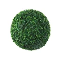 green 10cm   
