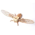 HH029-Cicada