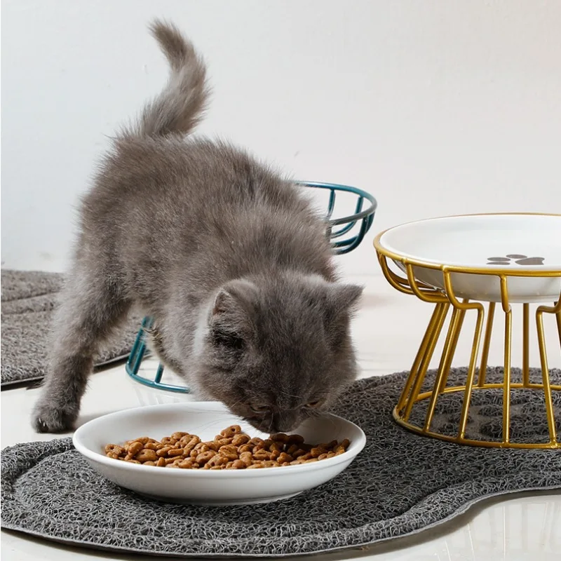 Cuenco elevador con soporte de Metal para gato, plato elevado de alimentación de aperitivos de cerámica para mascotas, suministros para cachorros y gatitos, accesorios para perros - imagen 5