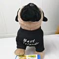 C black