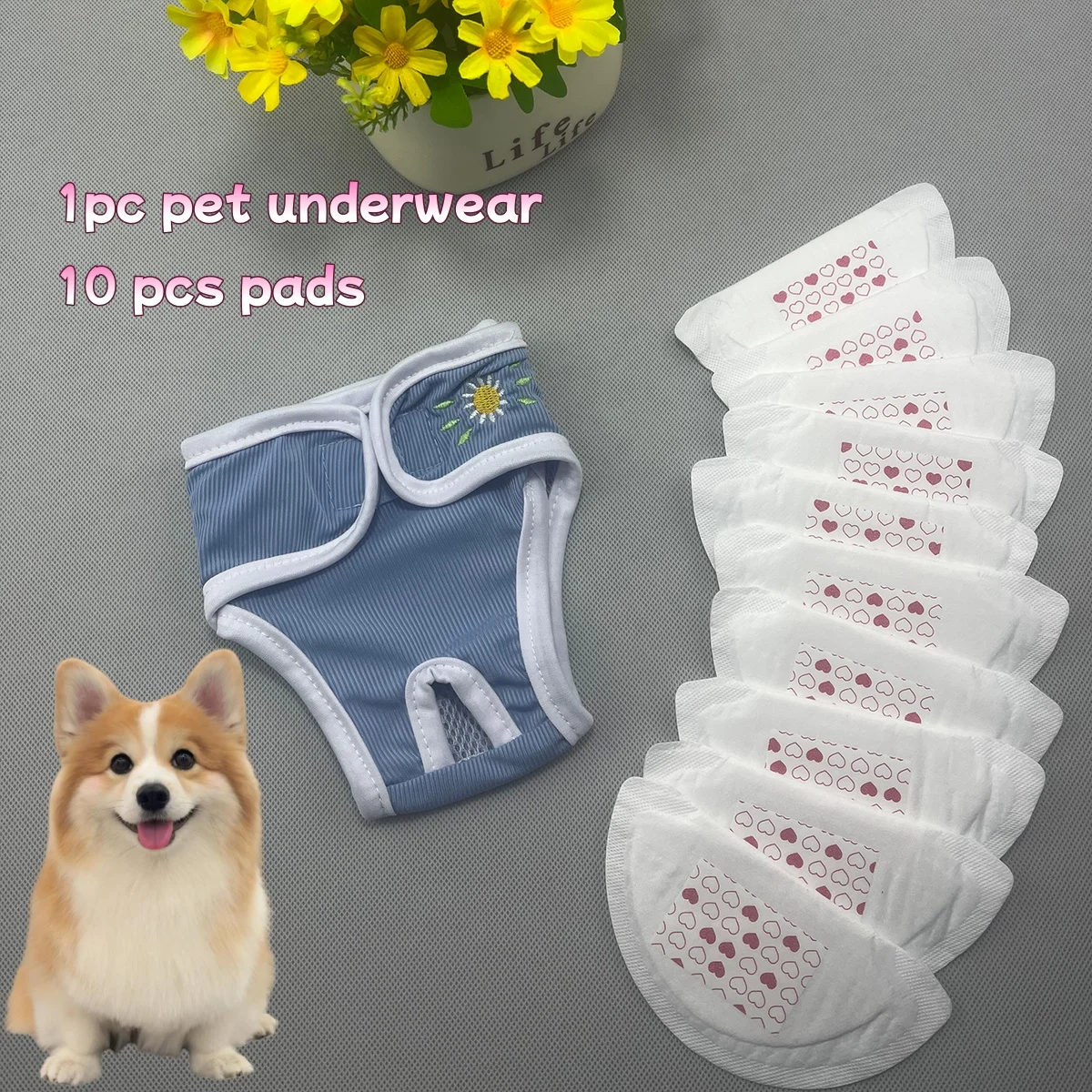 Pañales sanitarios para perros hembra – Tallas XS a 2XL