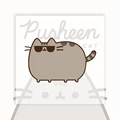 Pusheen3-PJM14