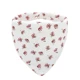 C3-triangle bib