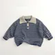 23T31-Blue