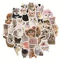 60pcs