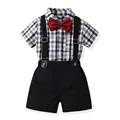 bm2072-Plaid