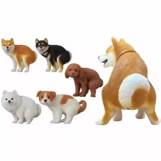 all 6 types