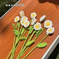 Daisy single