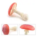 Amanita3