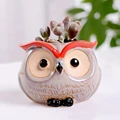 Owl F