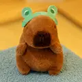 Hairpin Frog