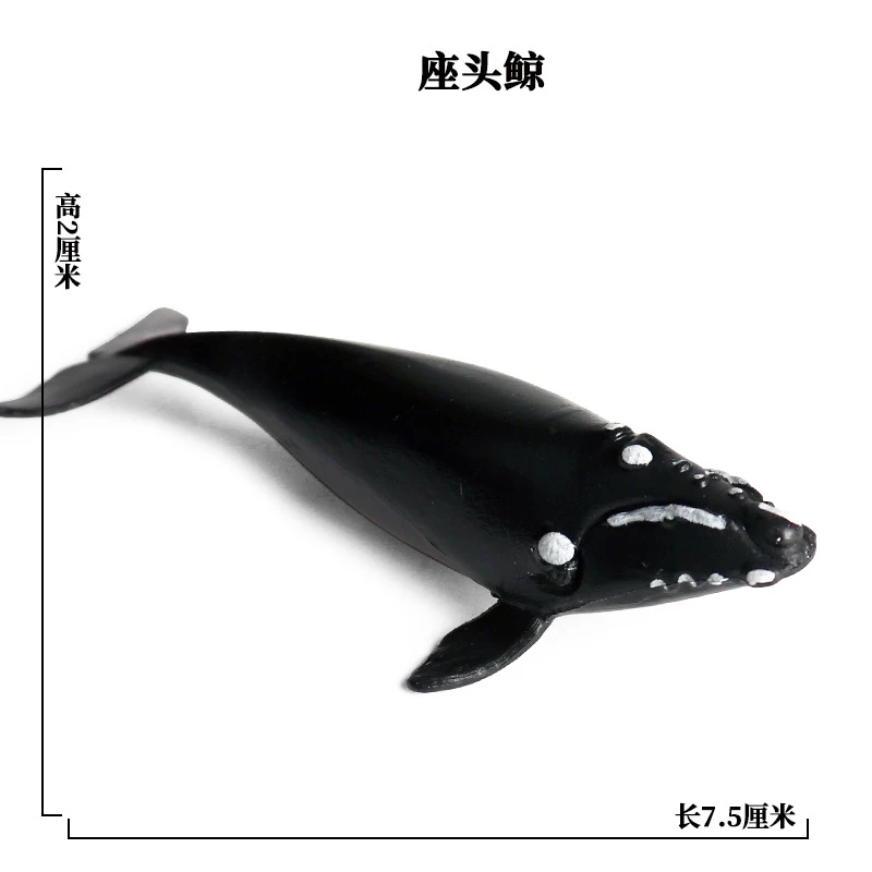 SEA LIFE - 27