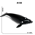 SEA LIFE - 27