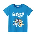 BLY 17