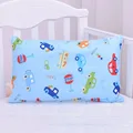 pillowcase 1-30x50cm