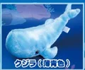 whale