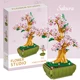 Cherry blossom
