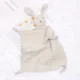 Gray-Rabbit