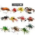 12pcs insects -g