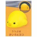 yellow chick down